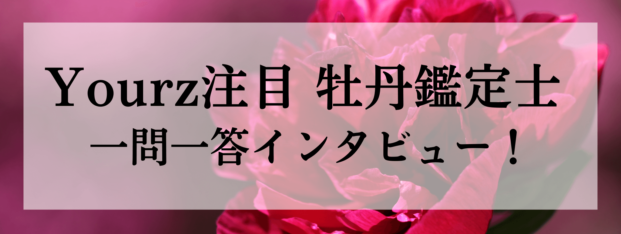 Yourz人気上昇中！牡丹（ボタン）鑑定士に突撃質問！！一問一答でお答えいただきます！